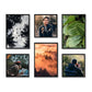 Customized Photo Frame Gift for Living Room,Home,Office
